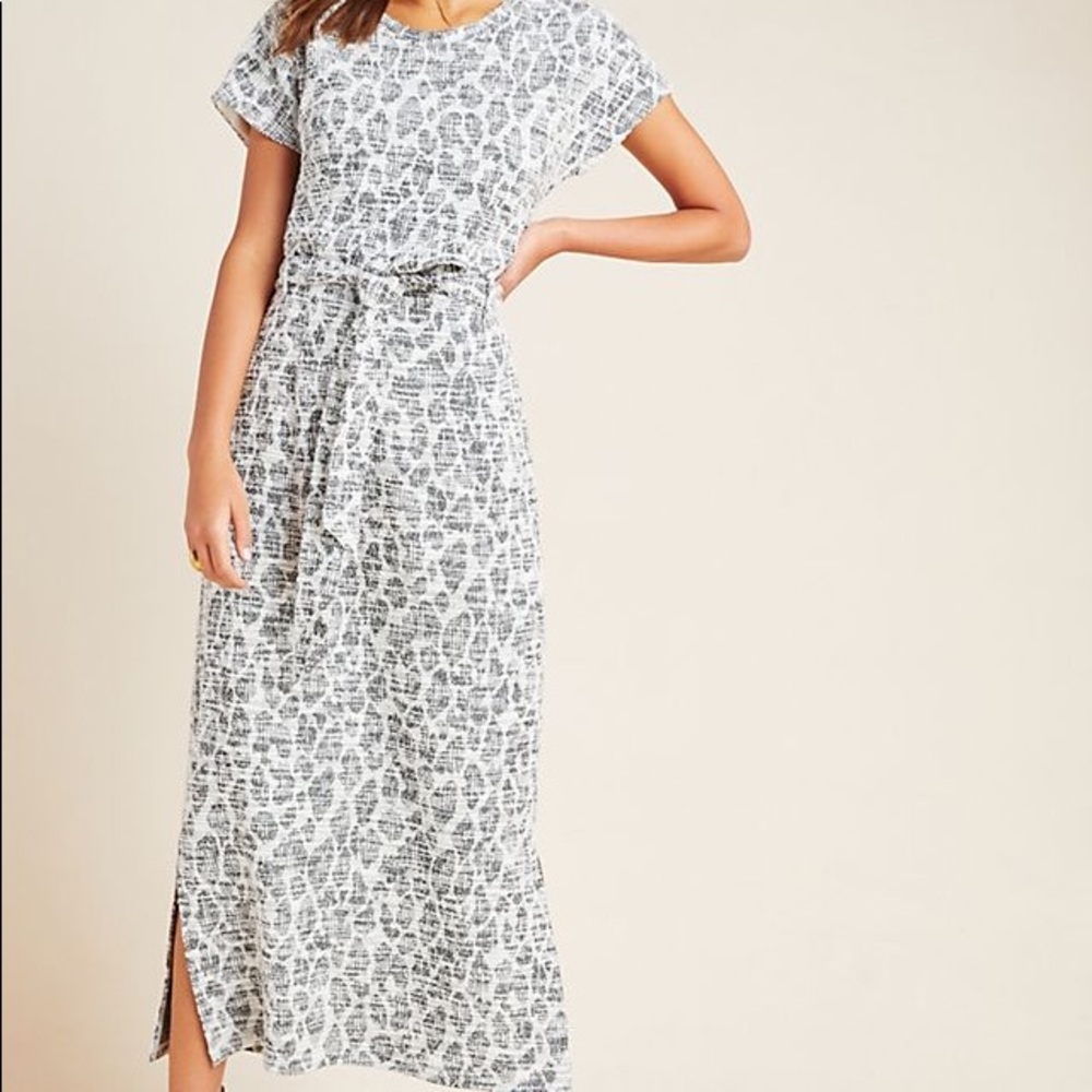 Anthropologie Dolan Cheetah Dress